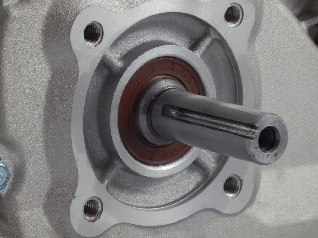 Lifan EcoMoteur EM40-X (4 CV) arbre 19.05mm