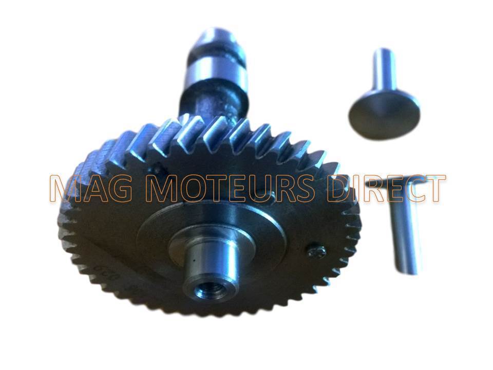 ARBRE A CAMES ACIER compatible Ecomoteur EM40 avec POUSSOIRS (ECO)