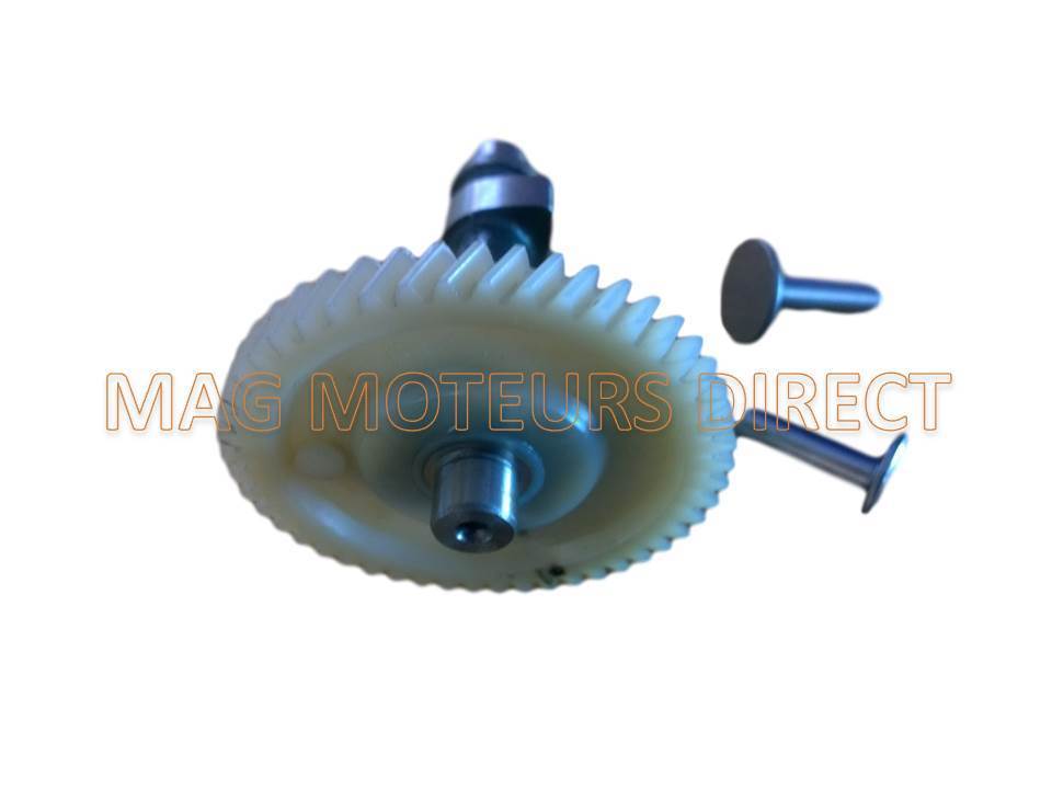 ARBRE A CAMES NYLON compatible HONDA GX200 avec POUSSOIRS (ECO)