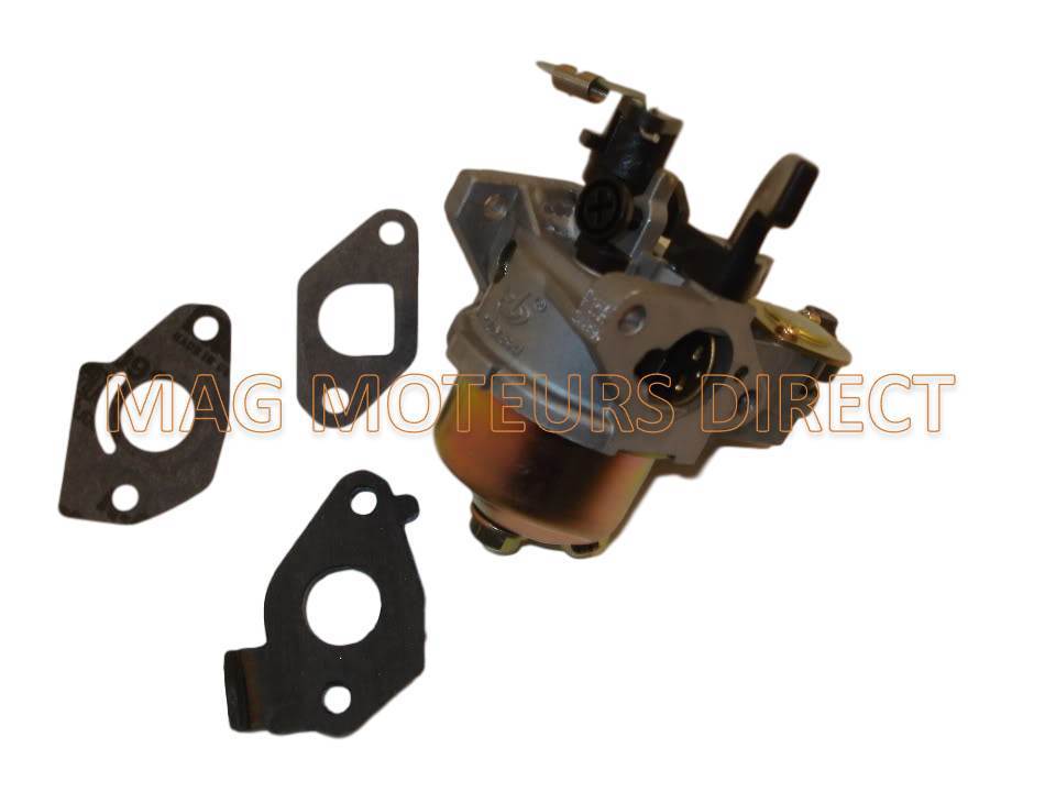 CARBURATEUR et kit Joints pour Villiers G152V