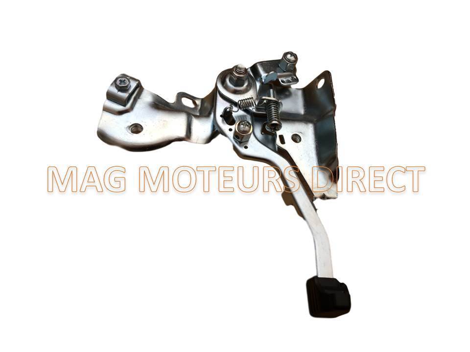 MANETTE DES GAZS BRIGGS&STRATTON 750