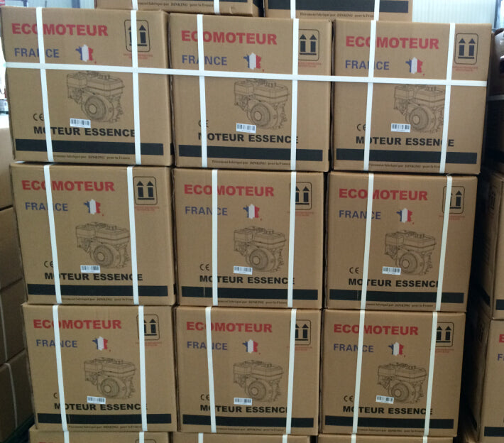 Lifan EcoMoteur EM65-XR arbre 20mm(6.5CV)