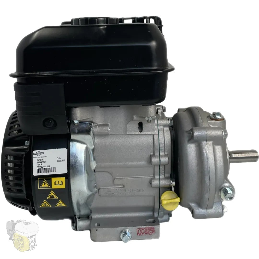 Briggs & Stratton XR550 SERIES avec réduction 1/6 - (Arbre 19.05mm / 3/4")
