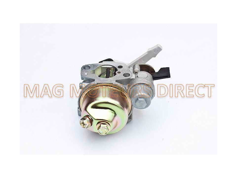 CARBURATEUR pour ECOMOTEUR EM40