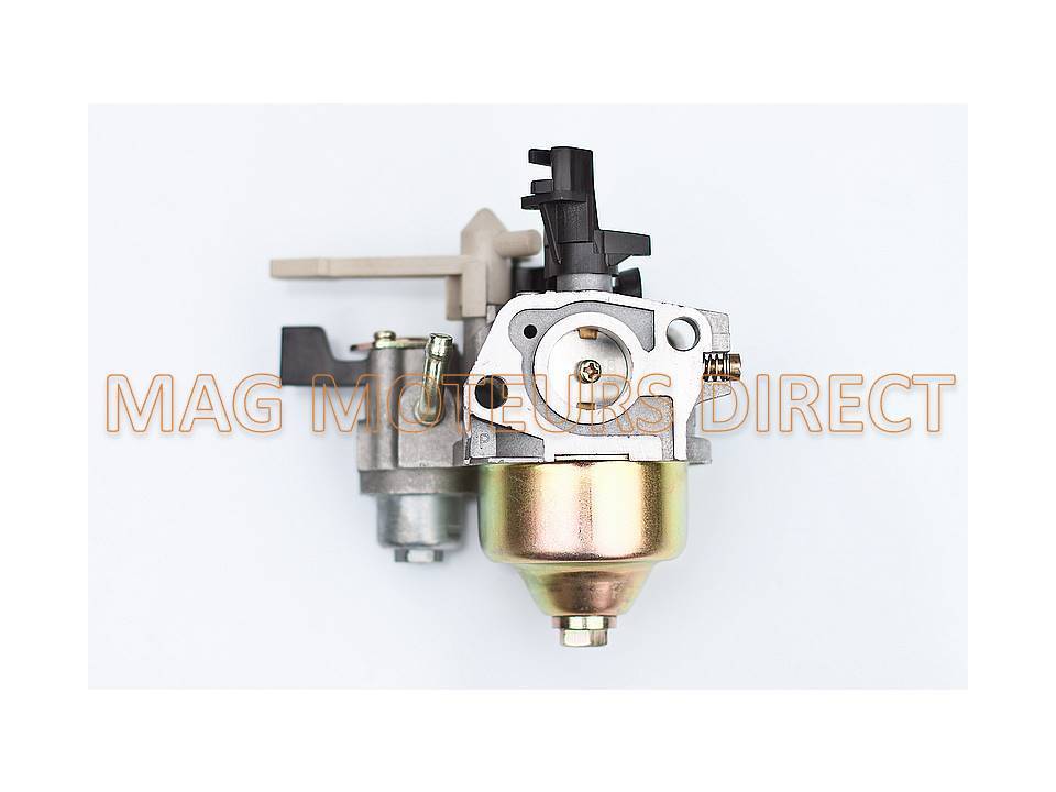 CARBURATEUR pour ECOMOTEUR EM65