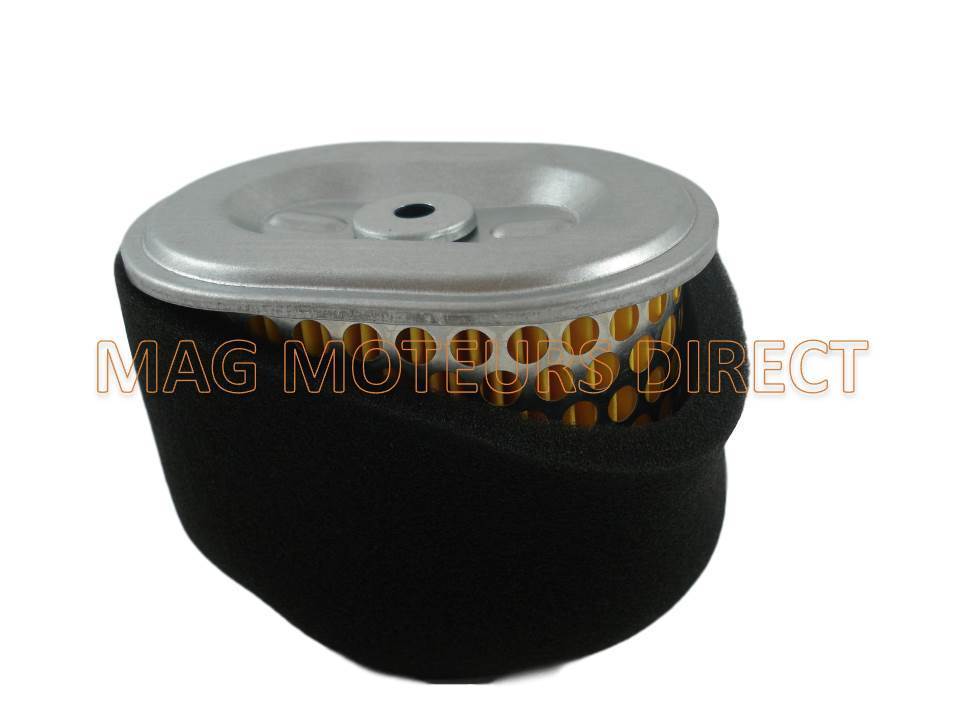 FILTRE à AIR pour ECOMOTEUR EM55 EM65 EM70