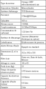 VILLIERS G160VFS-B (5.5CV) avec REDUCTEUR 1/2 & EMBRAYAGE CENTRIFUGE BAIN D'HUILE (Arbre 20mm)