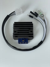 RECTIFICATEUR/REGULATEUR (10A) & FAISCEAU ELECTRIQUE AUXILIAIRE Eco