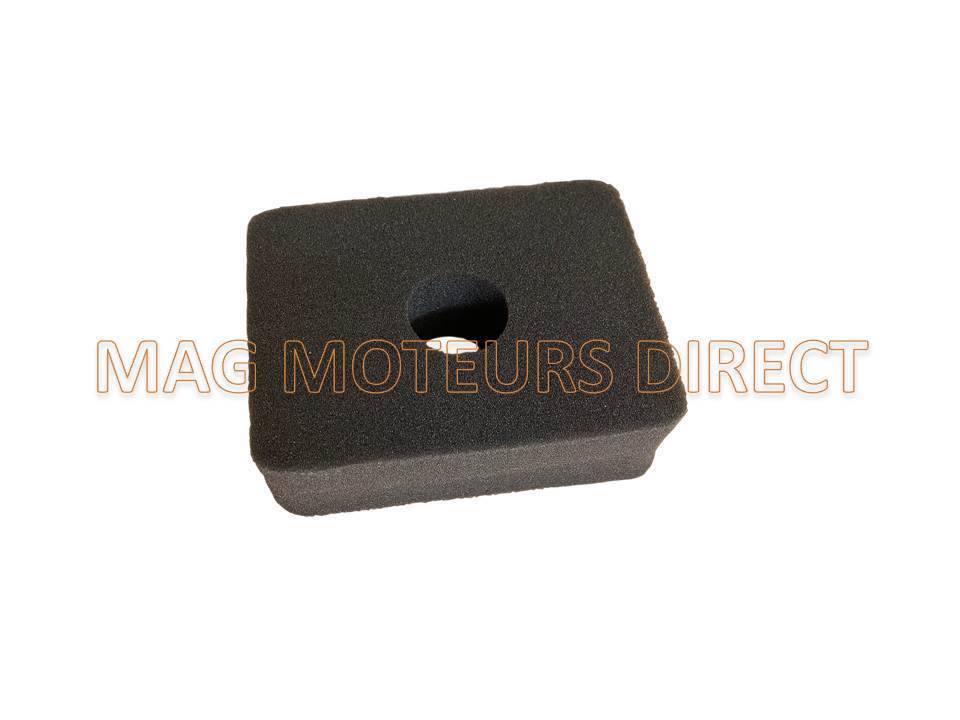 MOUSSE FILTRE à AIR pour MOTEUR MOTOPOMPE compatible HONDA GX160 GX200 (ECO)