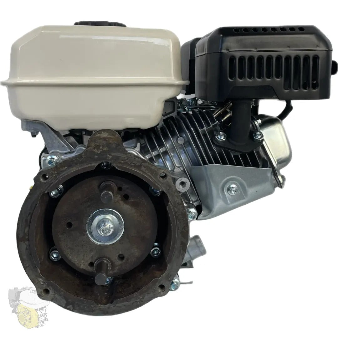 Moteurs de remplacement pour motoculteurs STAUB PP2X avec Moteur MAG