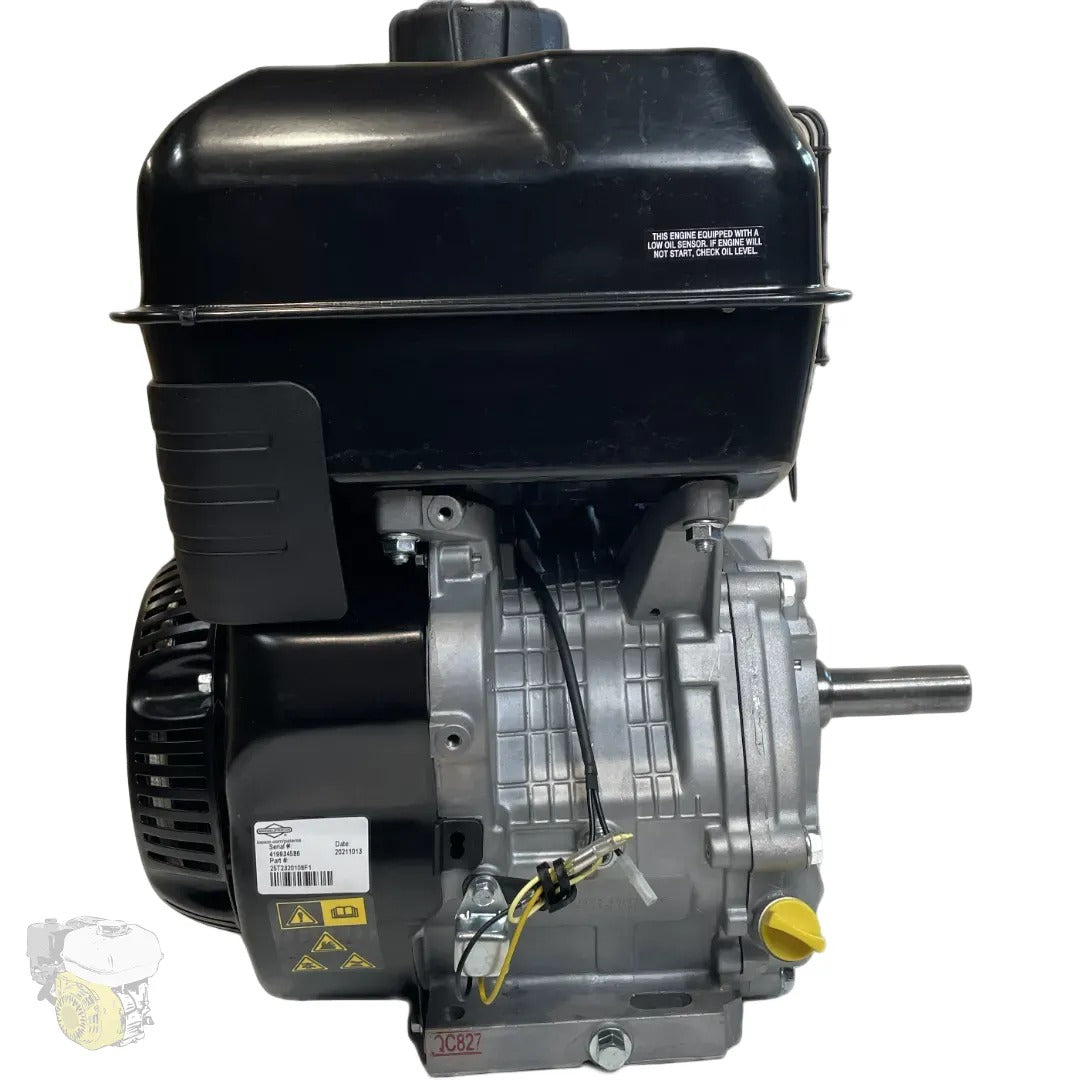 Serie Briggs &amp; Stratton XR2100 - (Eje ​​25,4 mm / 1")