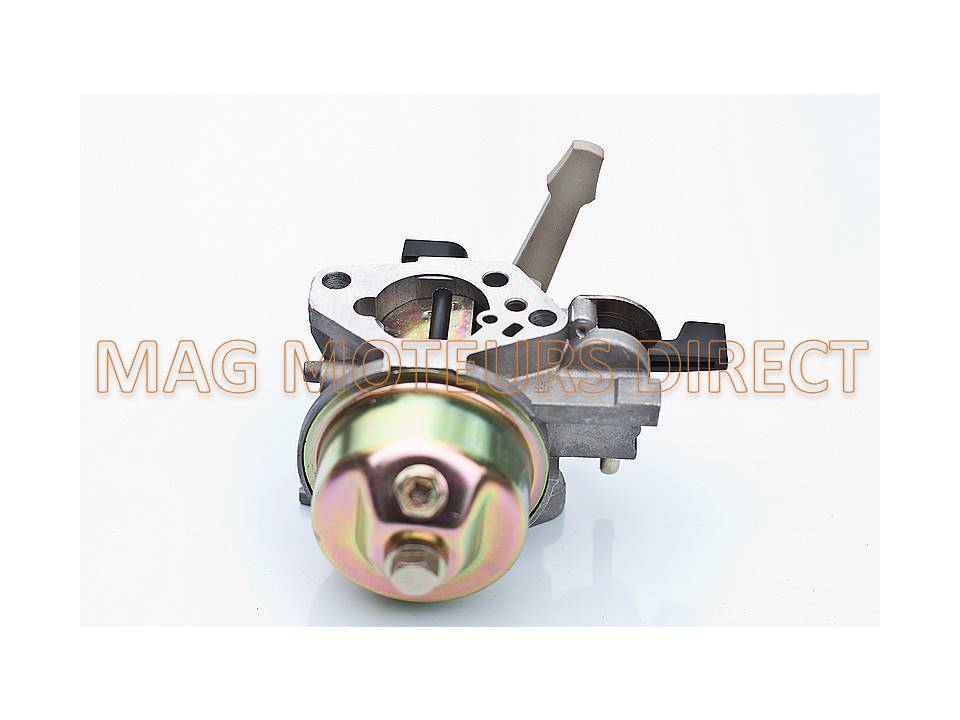 CARBURATEUR pour EcoMoteur EM90