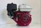 HONDA GX200 - QX - (eje de 19,05 mm / 3/4" x 58,5 mm) con alerta de nivel de aceite