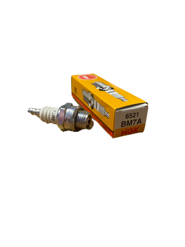BOUGIE NGK BM7A compatible MOTEURS ECOMOTEUR (ECO)
